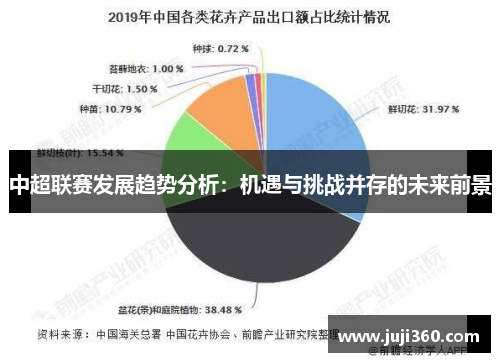 中超联赛发展趋势分析：机遇与挑战并存的未来前景