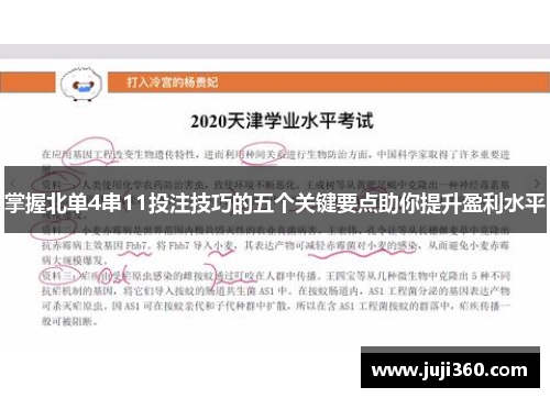 掌握北单4串11投注技巧的五个关键要点助你提升盈利水平